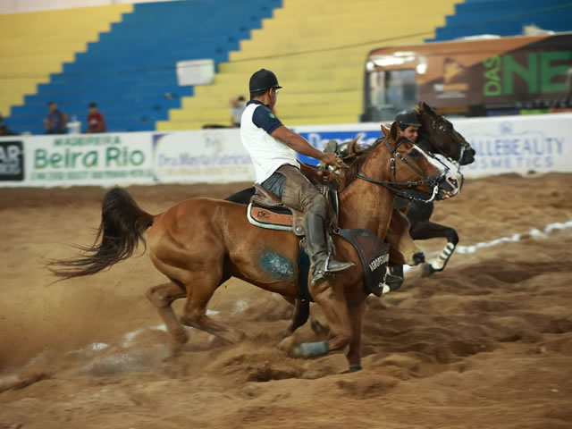 TAC da Vaquejada de Juazeiro do Norte está disponível e orienta medidas de proteção animal