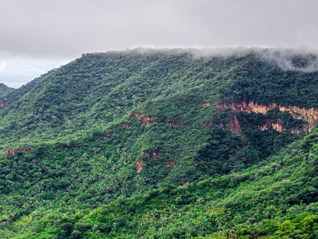 Consulta Pública sobre criação de nova área de preservação na Chapada do Araripe será realizada em Santana do Cariri
