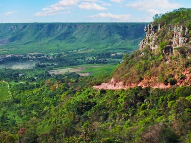 Guia reúne 141 espécies vegetais da Chapada do Araripe e destaca riqueza ambiental do Cariri