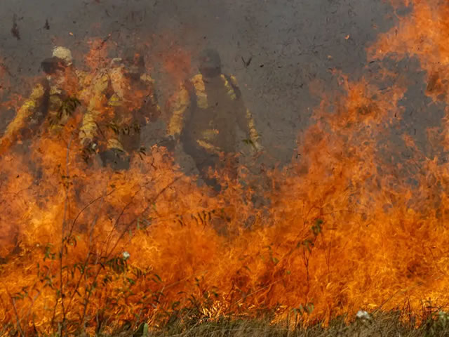 Seca e calor extremo elevam número de queimadas no Cariri aponta dados da Funceme