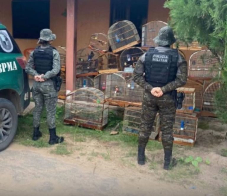 Polícia resgata 21 aves silvestres mantidas ilegalmente no Crato