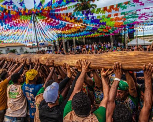 Angico de 25 metros é escolhido como mastro da Festa do Pau da Bandeira de Santo Antônio 2026