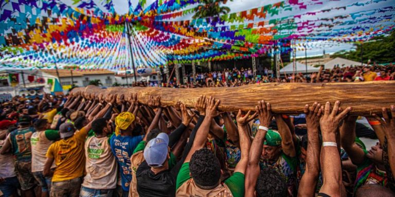 Angico de 25 metros é escolhido como mastro da Festa do Pau da Bandeira de Santo Antônio 2026