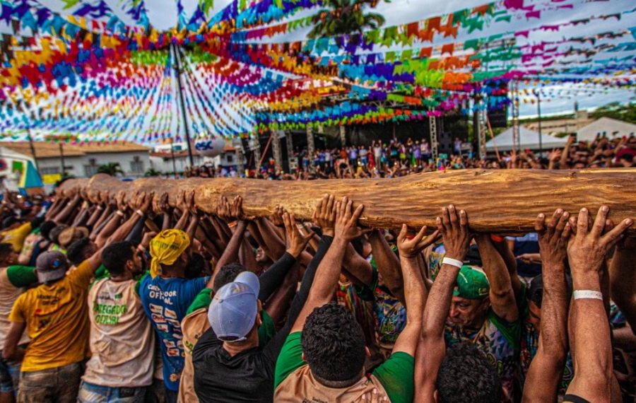 Angico de 25 metros é escolhido como mastro da Festa do Pau da Bandeira de Santo Antônio 2026