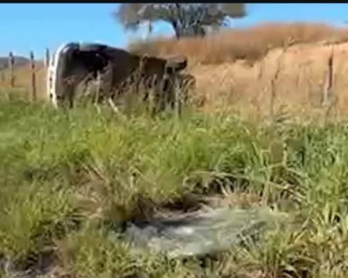 Idoso morre e três pacientes ficam feridos após veículo  capotar na CE-386, no Crato