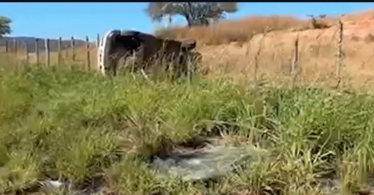 Idoso morre e três pacientes ficam feridos após veículo  capotar na CE-386, no Crato