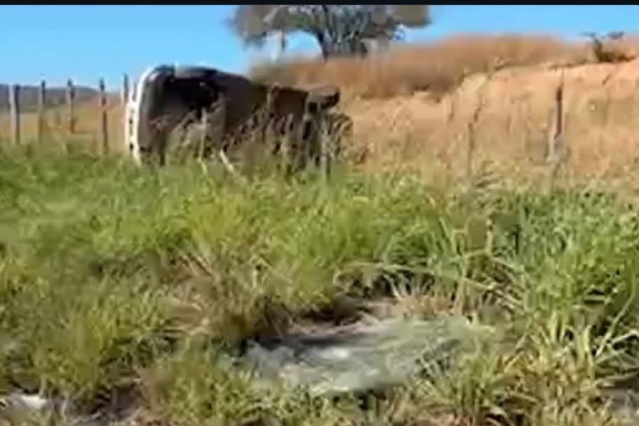 Idoso morre e três pacientes ficam feridos após veículo  capotar na CE-386, no Crato
