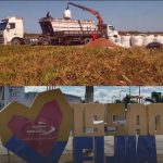 Missão Velha lidera agronegócio no Cariri e está entre os quatro municípios que mais movimentam a atividade no Ceará