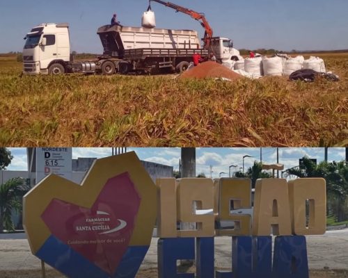 Missão Velha lidera agronegócio no Cariri e está entre os quatro municípios que mais movimentam a atividade no Ceará