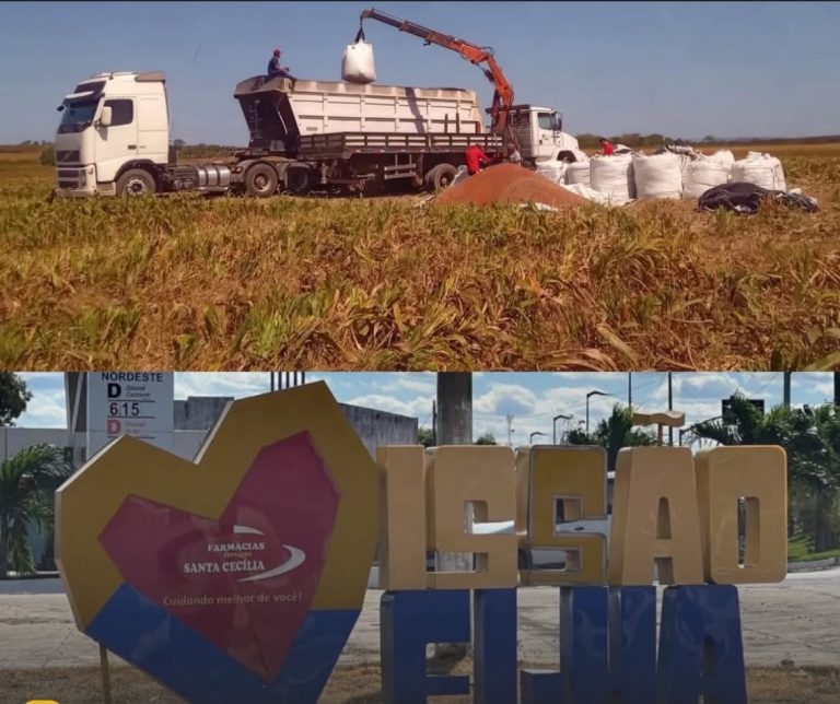 Missão Velha lidera agronegócio no Cariri e está entre os quatro municípios que mais movimentam a atividade no Ceará