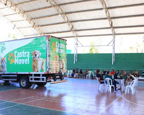 Várzea Alegre conclui segunda etapa do Castra Pet com 180 gatos castrados