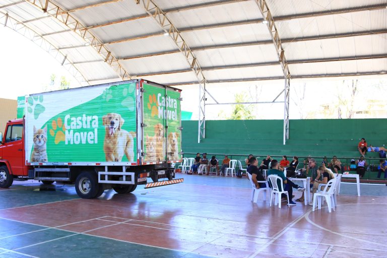 Várzea Alegre conclui segunda etapa do Castra Pet com 180 gatos castrados