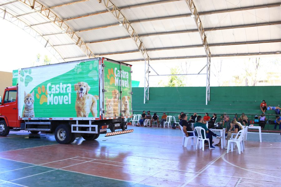 Várzea Alegre conclui segunda etapa do Castra Pet com 180 gatos castrados