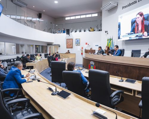 Câmara de Juazeiro do Norte aprova Programa Pela Primeira Infância e política de adoção responsável de animais