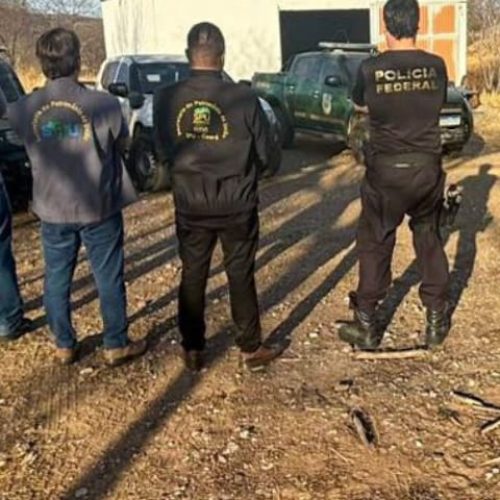 Polícia Federal deflagra ação em combate a crimes ambientais em cidades do Cariri 