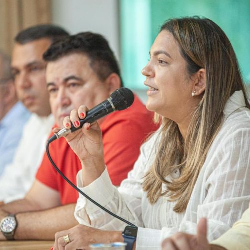 Vilma Freire, secretária estadual do meio ambiente, se reúne com prefeitos do Cariri para debater sobre Consórcios de Resíduos