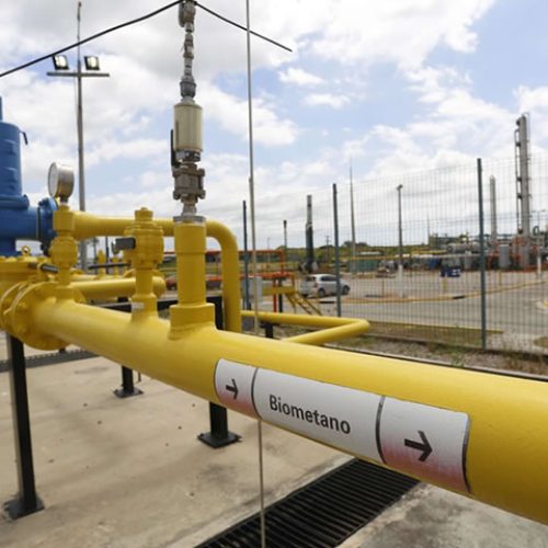 Cegás inicia fornecimento de gás natural no Cariri e amplia interiorização do energético no Ceará