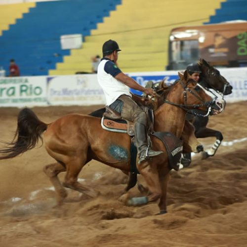 TAC da Vaquejada de Juazeiro do Norte está disponível e orienta medidas de proteção animal