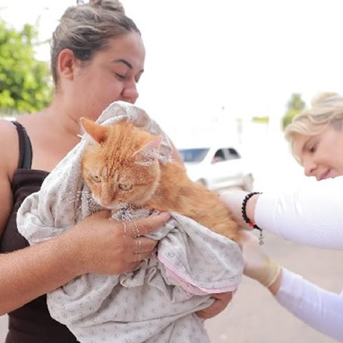 Bairro Triângulo recebe serviço de vacinação antirrábica nesta semana em Juazeiro do Norte
