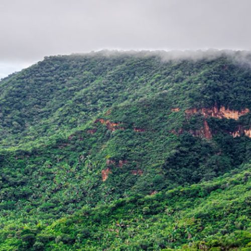 Consulta Pública sobre criação de nova área de preservação na Chapada do Araripe será realizada em Santana do Cariri