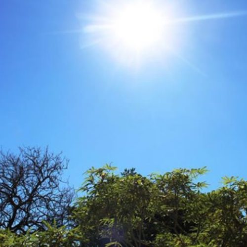Previsão do tempo indica calor no Cariri para esta semana