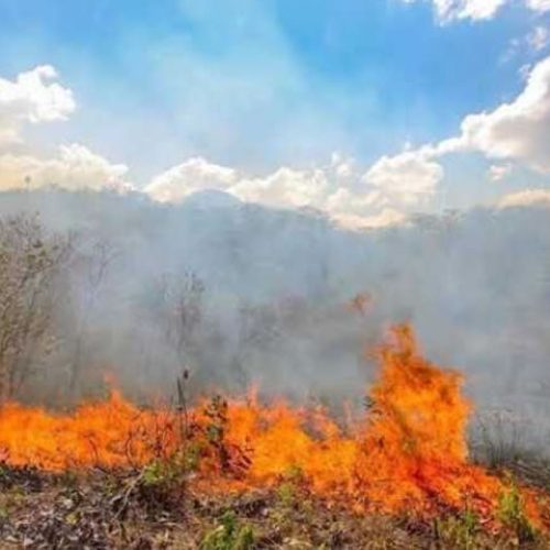Região do Cariri registra mais de 11 mil focos de calor em 2024 aponta Funceme